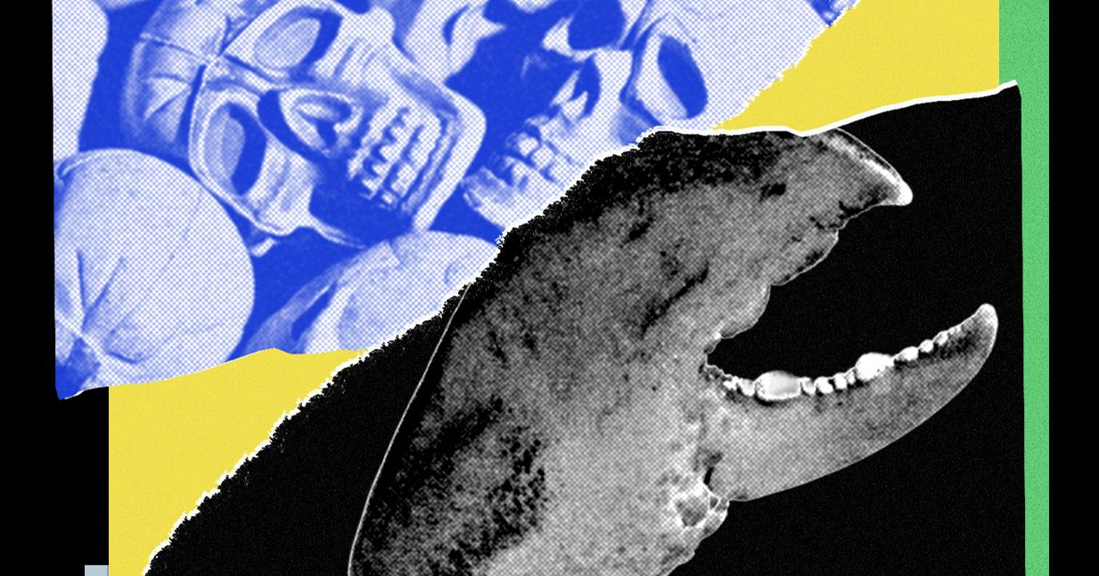 Adorei o meu agente de IA Open Claw—Até que se virou contra mim